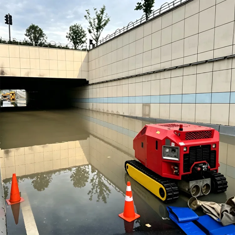 Tracked Drainage Robot